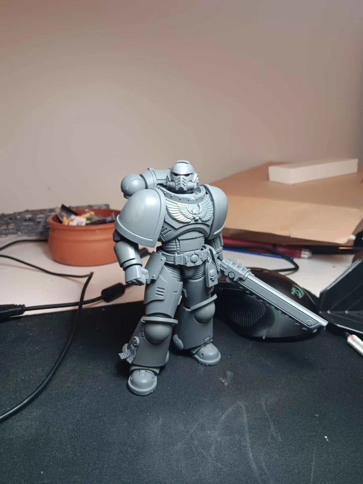 Collector photograph of Intercessor Armouring Hall Edition