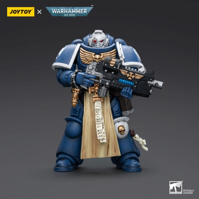 Ultramarines Sternguard Veteran