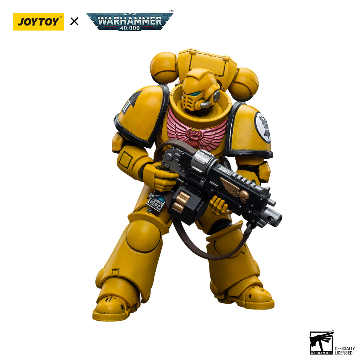 Imperial Fists Intercessors