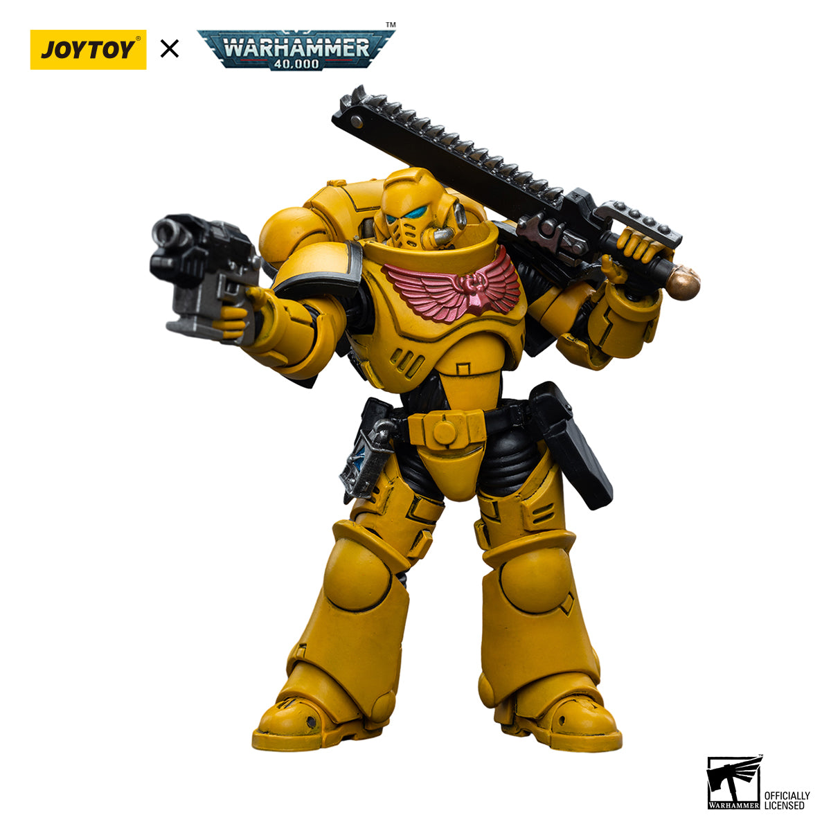 Imperial Fists Intercessors