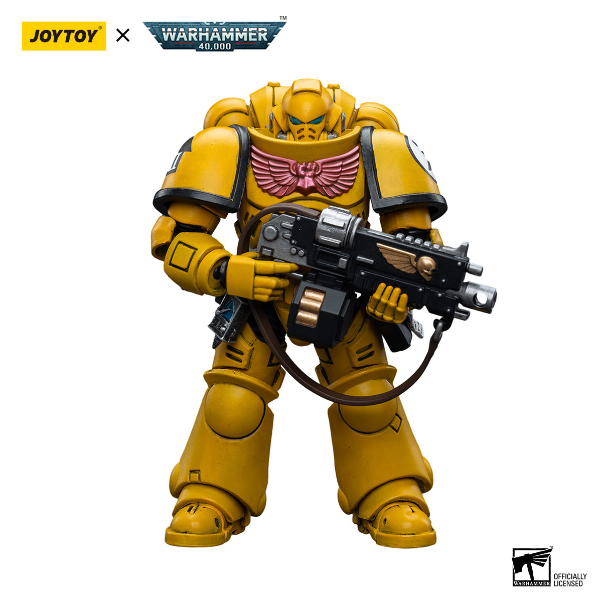 Imperial Fists Intercessors